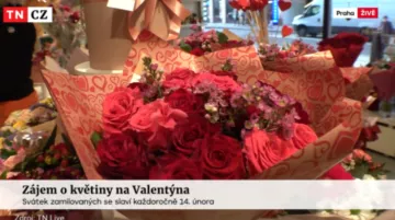 Snímek obrazovky 2025-01-02 234137.png